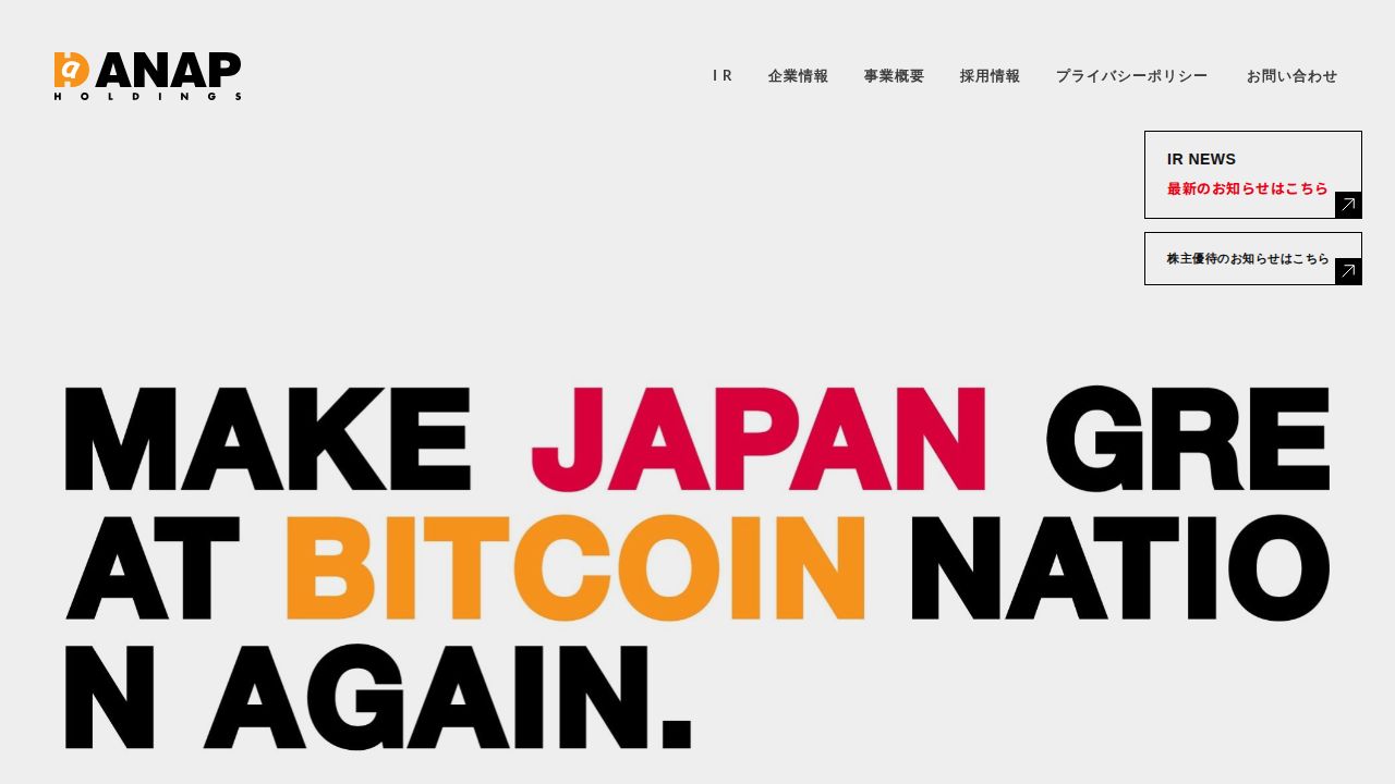 ANAPホールディングス 公式サイト