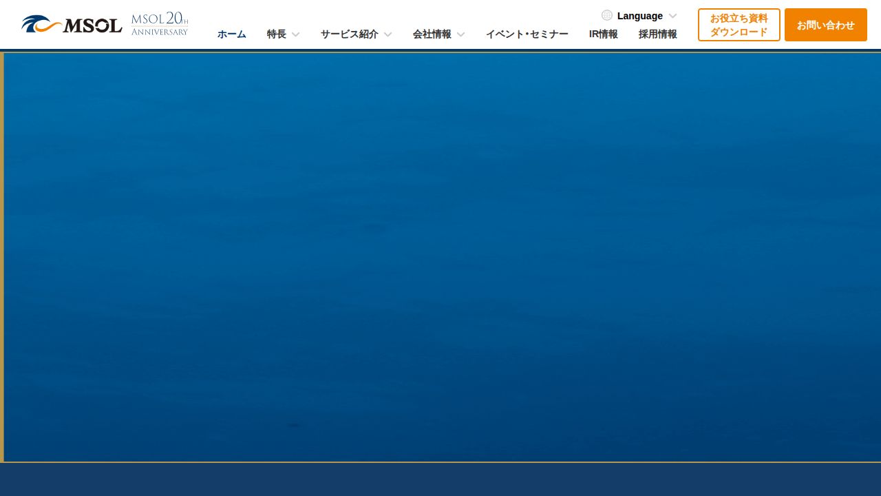 マネジメントソリューションズ 公式サイト